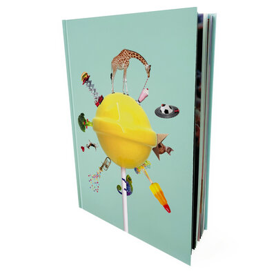 Le grand livre des regards